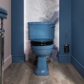 Унитаз Burlington Bathrooms ALASKA BLUE