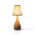 Настільна лампа NEOZ Lighting
