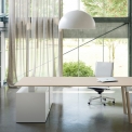 Стіл письмовий FANTONI WOODS