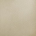 Стілець Ozzio Italia MURIEL