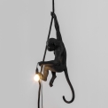 Светильник подвесной уличный Seletti THE MONKEY LAMP BLACK CEILING
