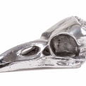 Декоративный элемент Seletti BIRD SKULL