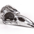 Декоративный элемент Seletti BIRD SKULL