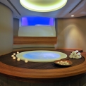 Мини-бассейн Spa Jacuzzi® ALIMIA EXPERIENCE