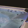 Міні-басейн Spa Jacuzzi® J-585