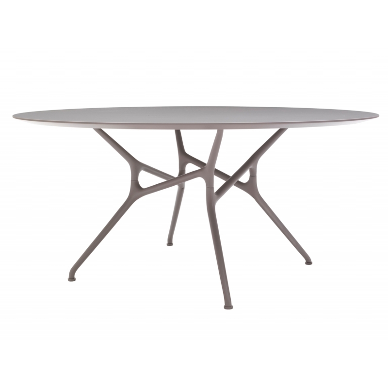 Стол обеденный Cappellini BRANCH TABLE